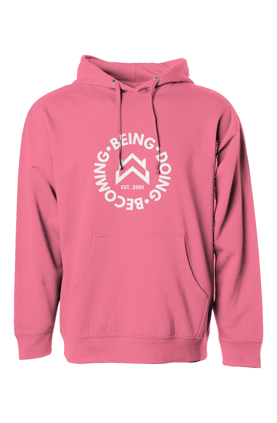 Aspects hoodie pink online